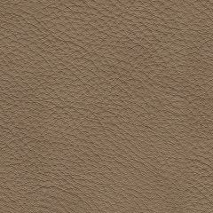 Veronella Sectional with Chaise